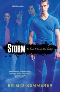 Book cover for Storm by Brigid Kemmerer
